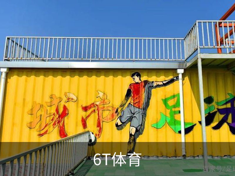 6T体育概况
